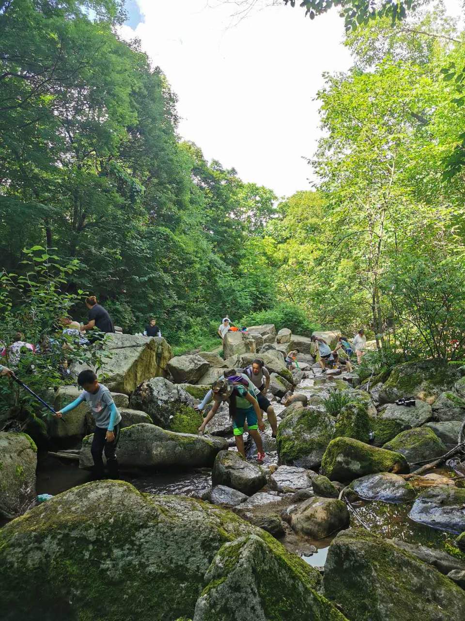 dpo6eybrAuAdbK_c6ex41d6NBYC07WqgKItXPpuOaL40cvvtv9yASHPrQ5aSzvbY