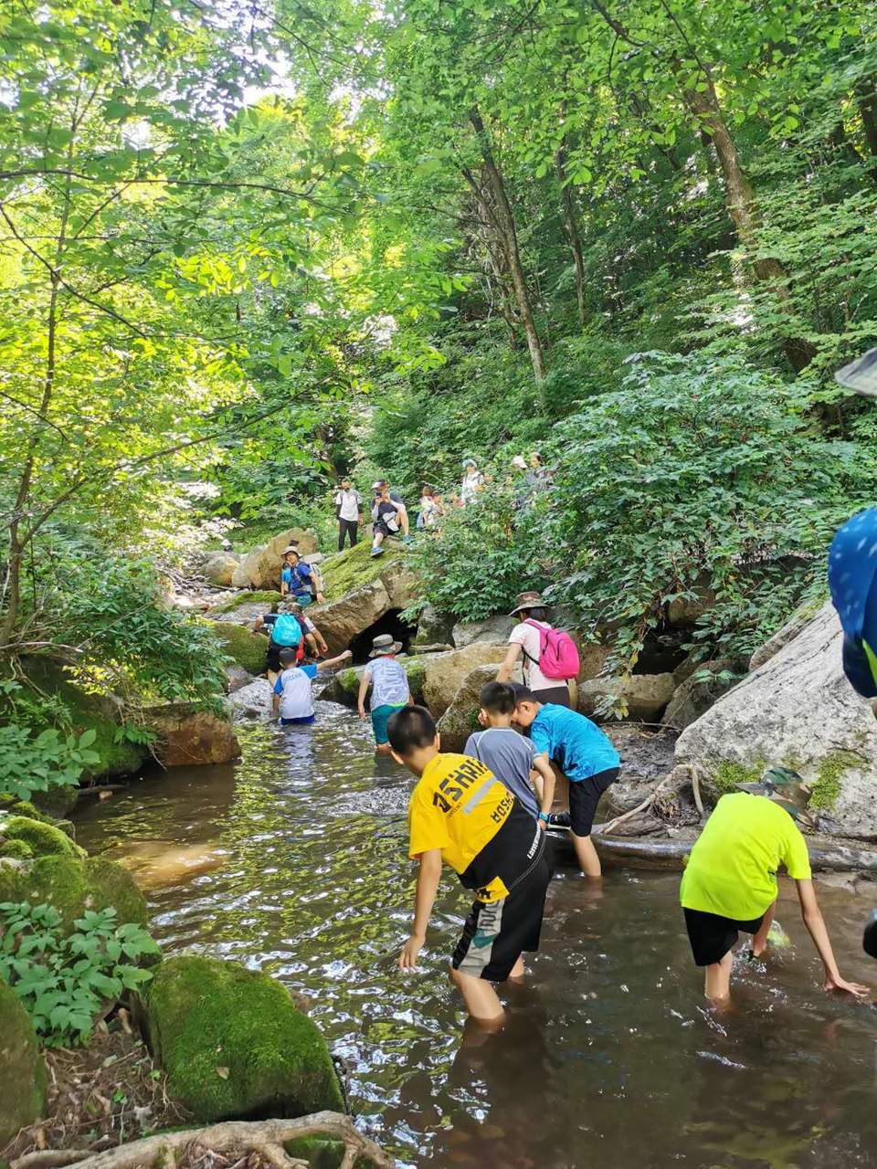 dpo6eybrAuAdbK_c6ex41Vrmdn29J9i_yMWc2blirmiR1pcREwfgRrOX6LLxHN3U