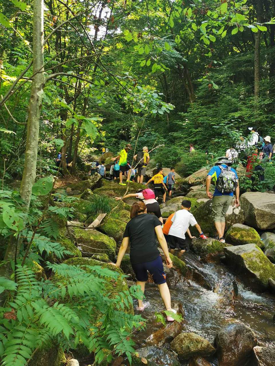 dpo6eybrAuAdbK_c6ex41ZXFYhhj6vOkAhf0C1IP3cIhudLS0DXNZKYAoM8f0sUL