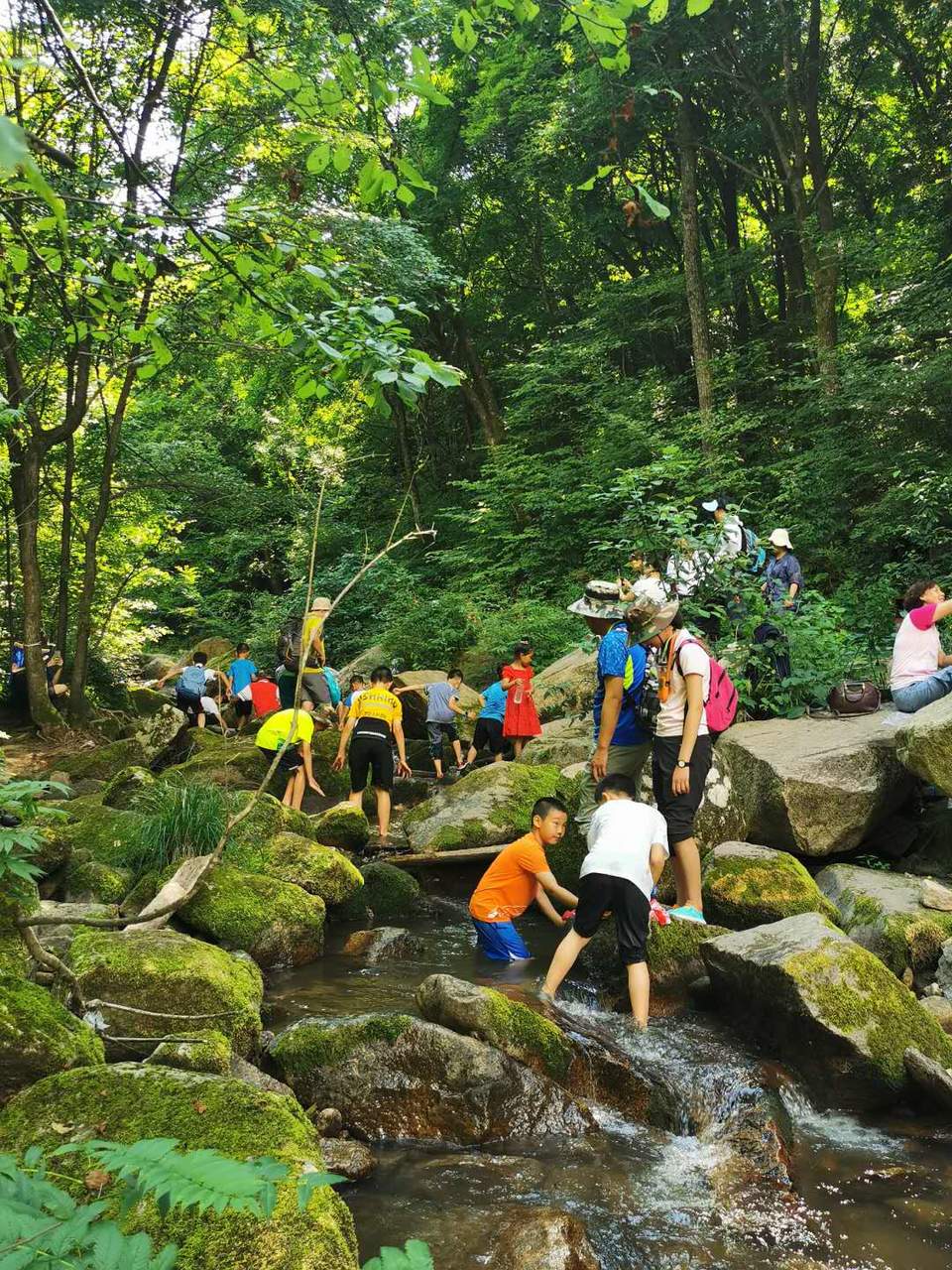 dpo6eybrAuAdbK_c6ex41fDhraUKCgC70YnECorX-CxR7pfFwaihMVqiA-u44qM9