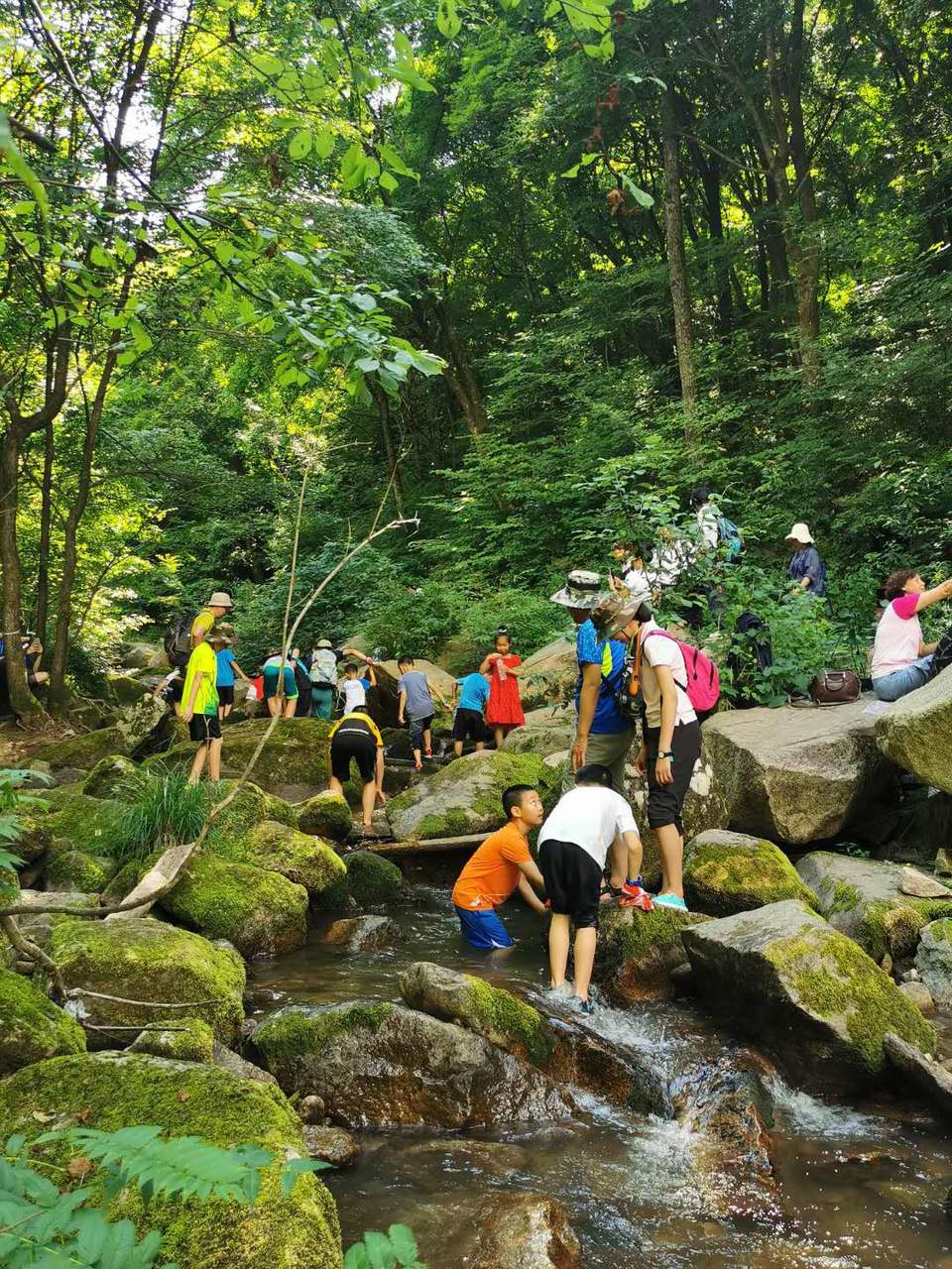 dpo6eybrAuAdbK_c6ex41aHNGhjRhGTyIFve-7uZ7OpCLVglD4Oo2qLHsuAkOPMp