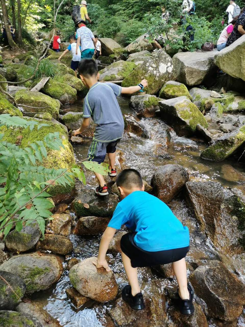 dpo6eybrAuAdbK_c6ex41YQa4MAQNoIjVHW5DClyzZp8O3Ygv3pIwh6qNmtRuJIo