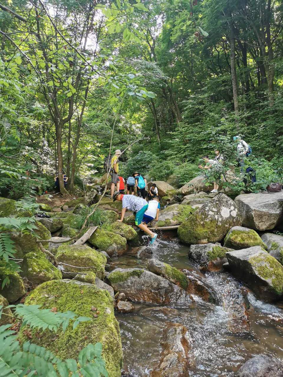 dpo6eybrAuAdbK_c6ex41aoGackug7WK3pia4r4PH-zGTwzQ5iNlJp5SngQNgcot