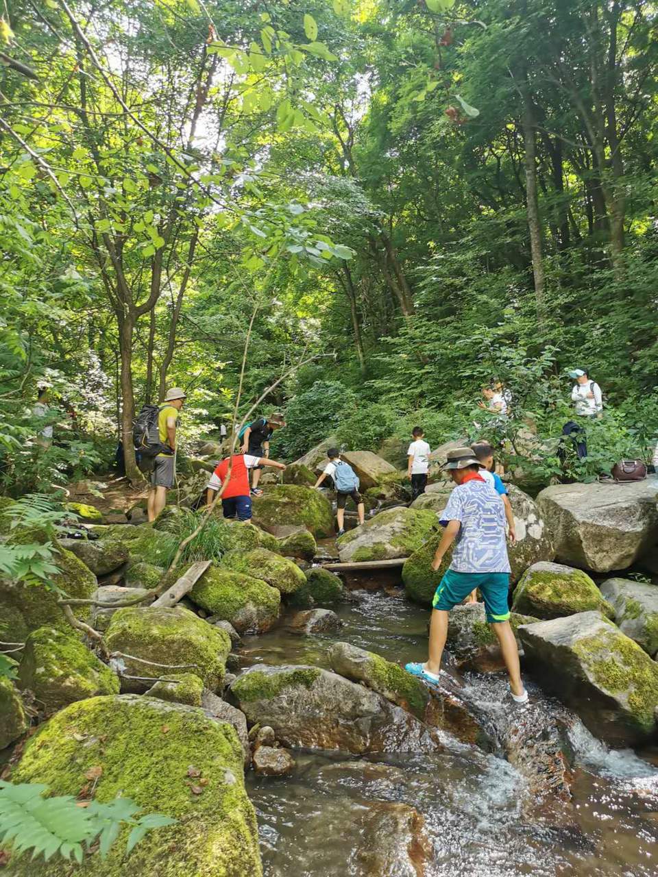 dpo6eybrAuAdbK_c6ex41RDGzqsmnr4YdyBz2VTscYYRotYBu_oBrlOyVFRkdhZ8