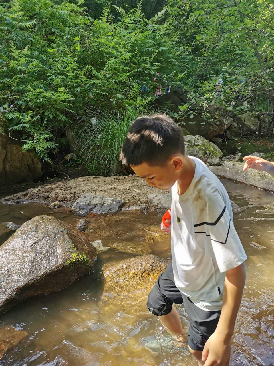 dpo6eybrAuAdbK_c6ex41fCIv6-Y9s4NsNV7f2Httts7CXj9IckLfpA1ZO7-UWj3