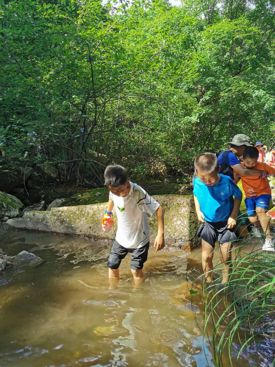 HcyHdIIb2VbyszODtZZFhu0deHvOZEglkRSpIJfRqaxGzY8yXjnt40Py7XeL8tCK