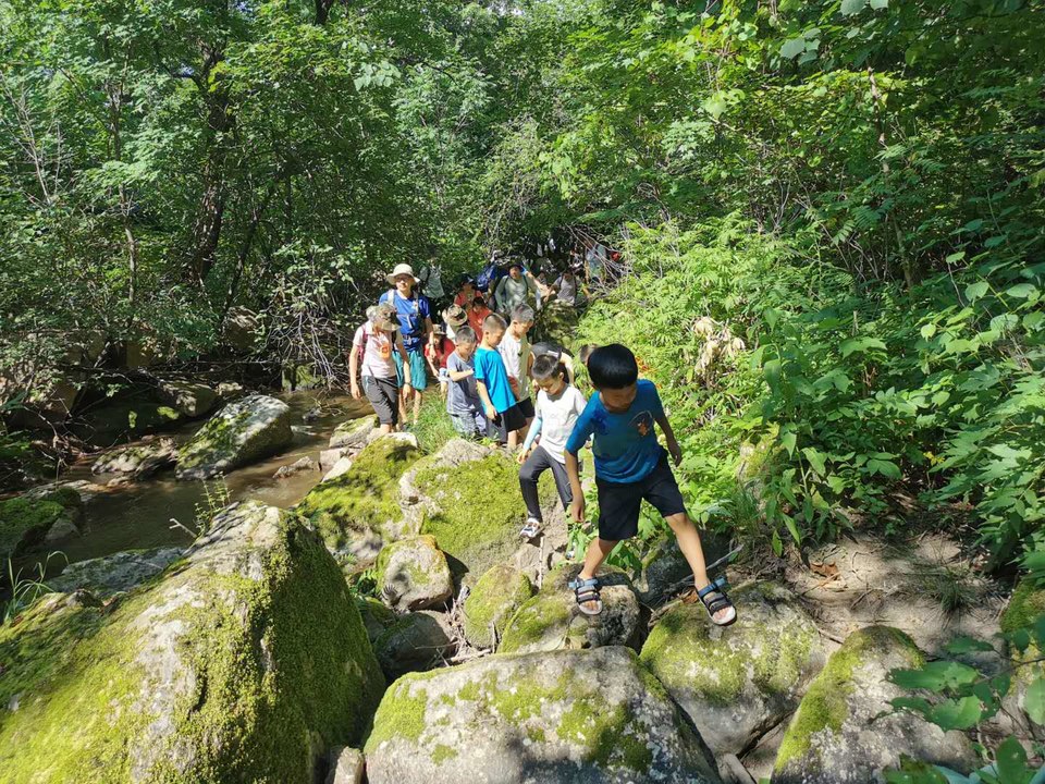 HcyHdIIb2VbyszODtZZFhj4QPAsoixuVUH_N3BUUP6iuQPLGVIM8NjwM_CC7X805