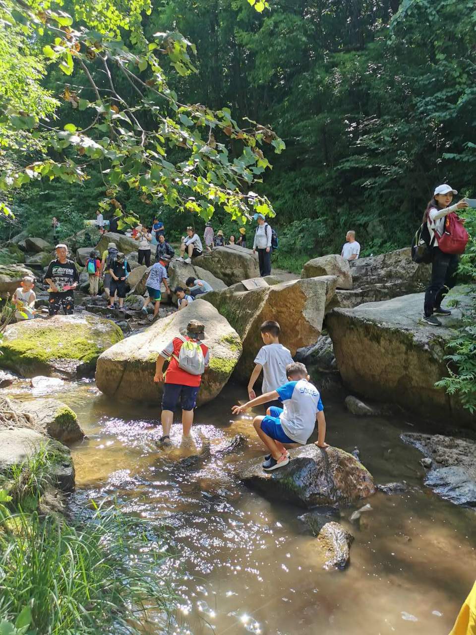 HcyHdIIb2VbyszODtZZFhtzF5M1Drjqzblws049SHsfhlMOmP4xuz8H11p-0imIr