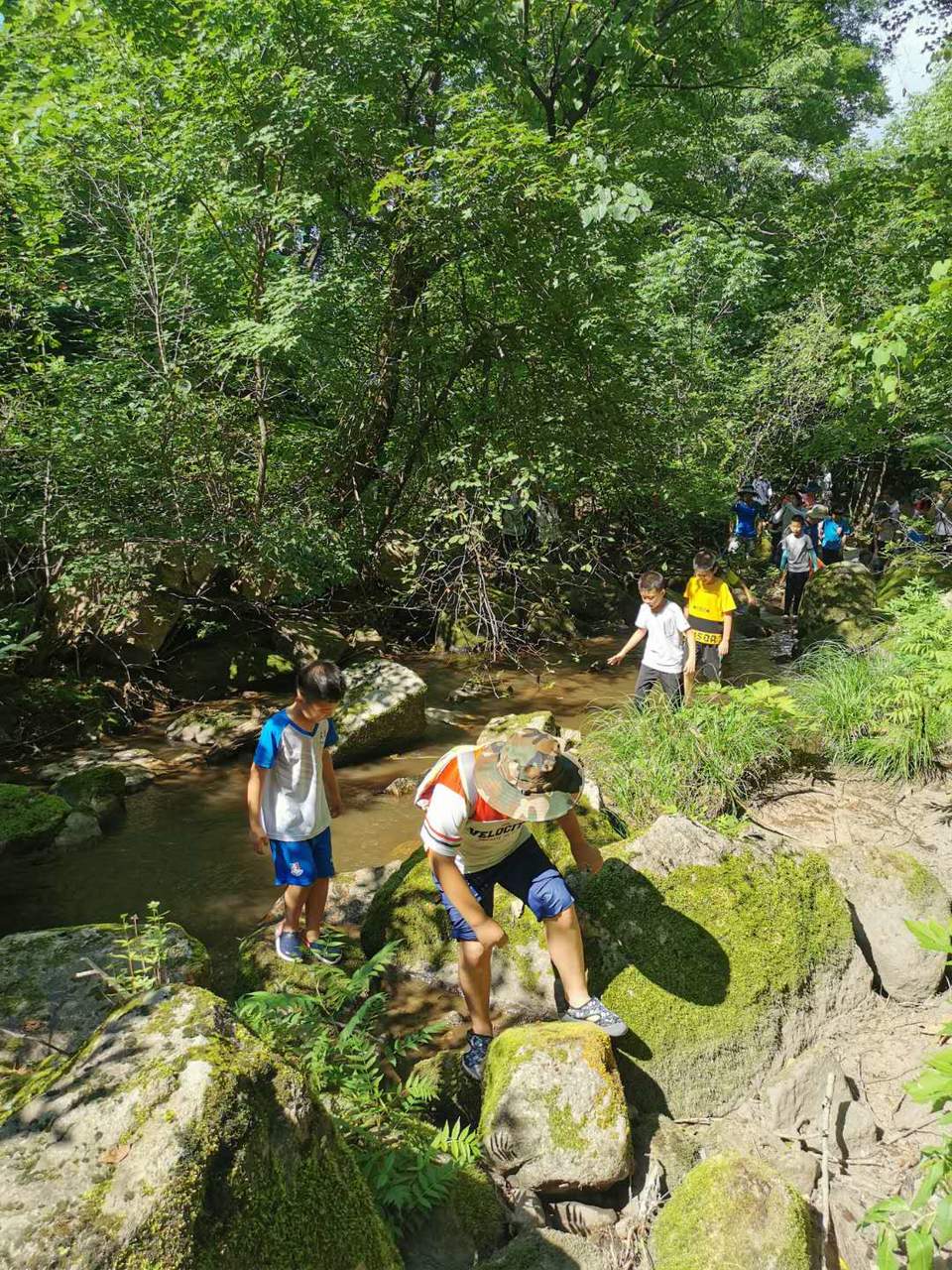 HcyHdIIb2VbyszODtZZFhuUYAtod1LPMMoaIOT8exYQLjXabZSD4YMS77-_rmIaZ