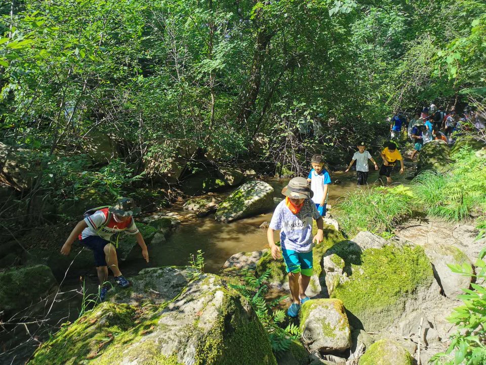 HcyHdIIb2VbyszODtZZFhmzI1cGgZa210k1-1ki0eMJ90D64GUM53RGY26Z2trTl