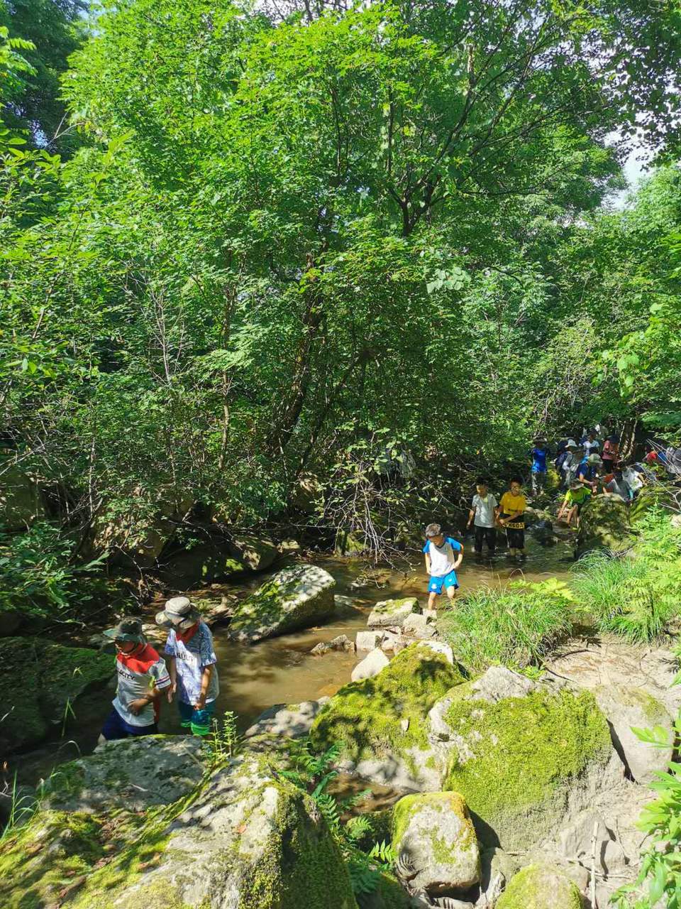 HcyHdIIb2VbyszODtZZFhrNdRpffpL1eDB4XysM8J5B1qMoTl_edRPCEgg0RDqX5