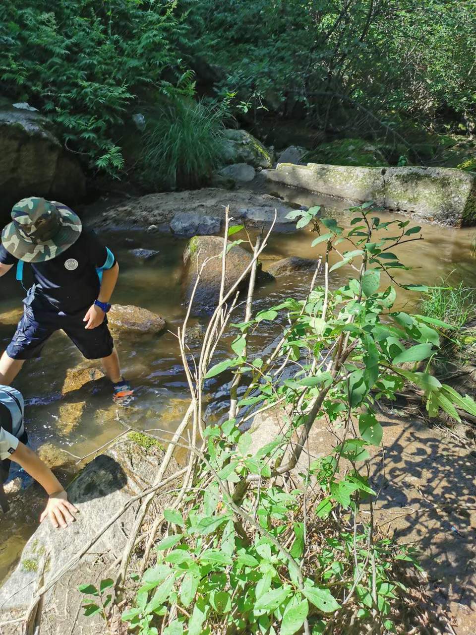 HcyHdIIb2VbyszODtZZFhhtxjygsRjvKaygIyx4x3zRbP9Vw5bZnb7JlG_N27dH0