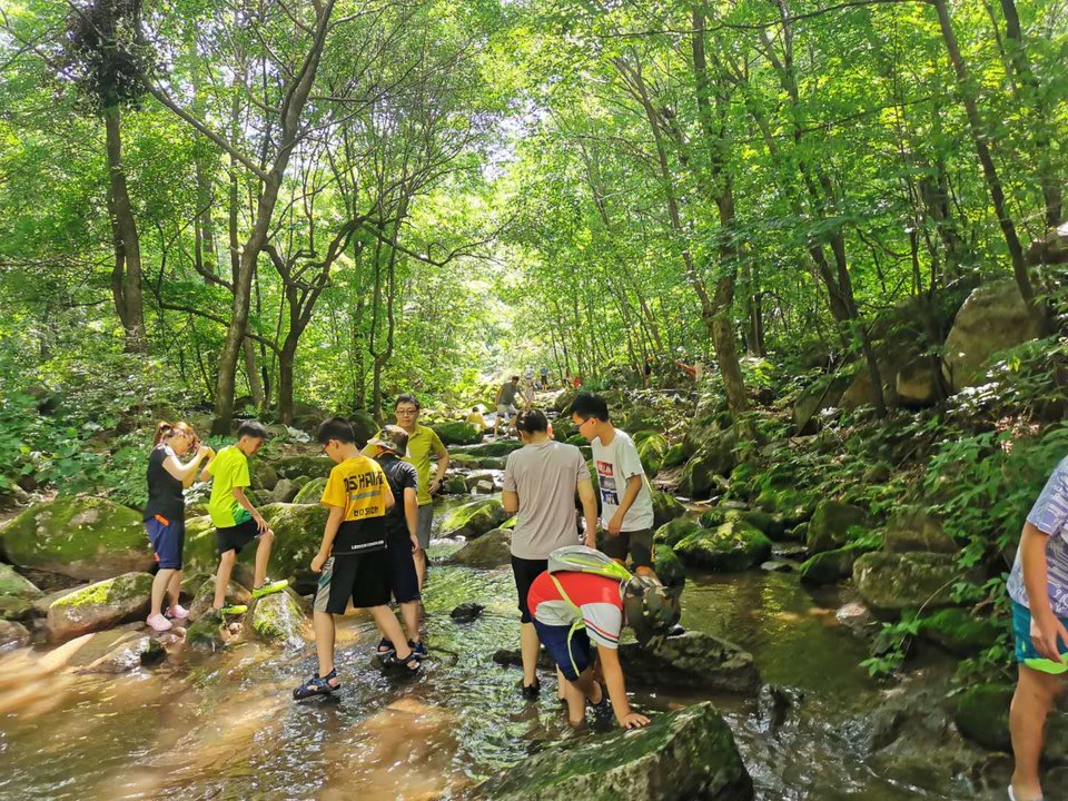 HcyHdIIb2VbyszODtZZFhnwzp3-qJqUNcZdJVtwJUSS4j5i50RZ61fImbto2A5hm