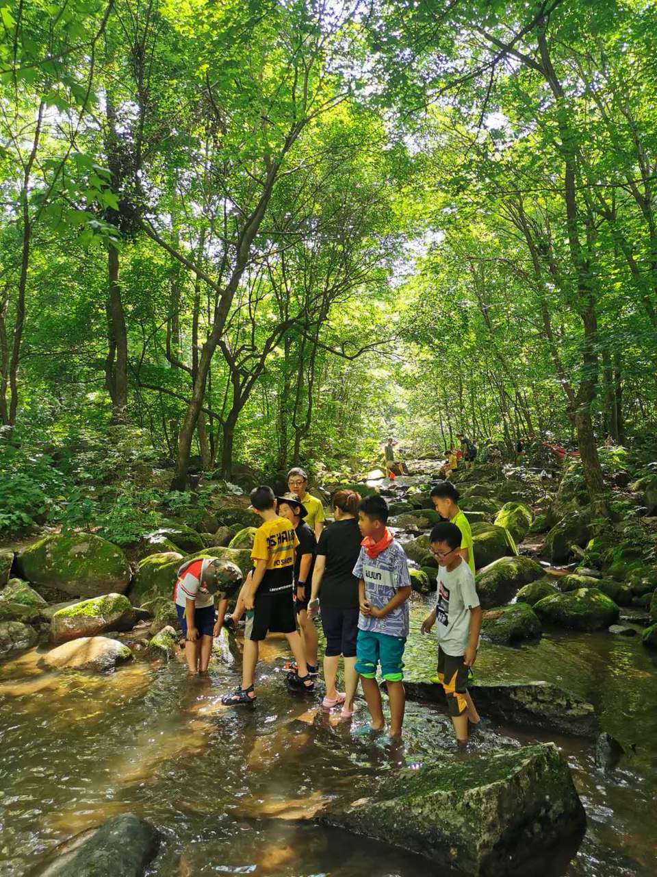 HcyHdIIb2VbyszODtZZFhrPSRRH5AVdkFzxNdmBhVO6PqeWlleLllSAqwyUfn2Qj