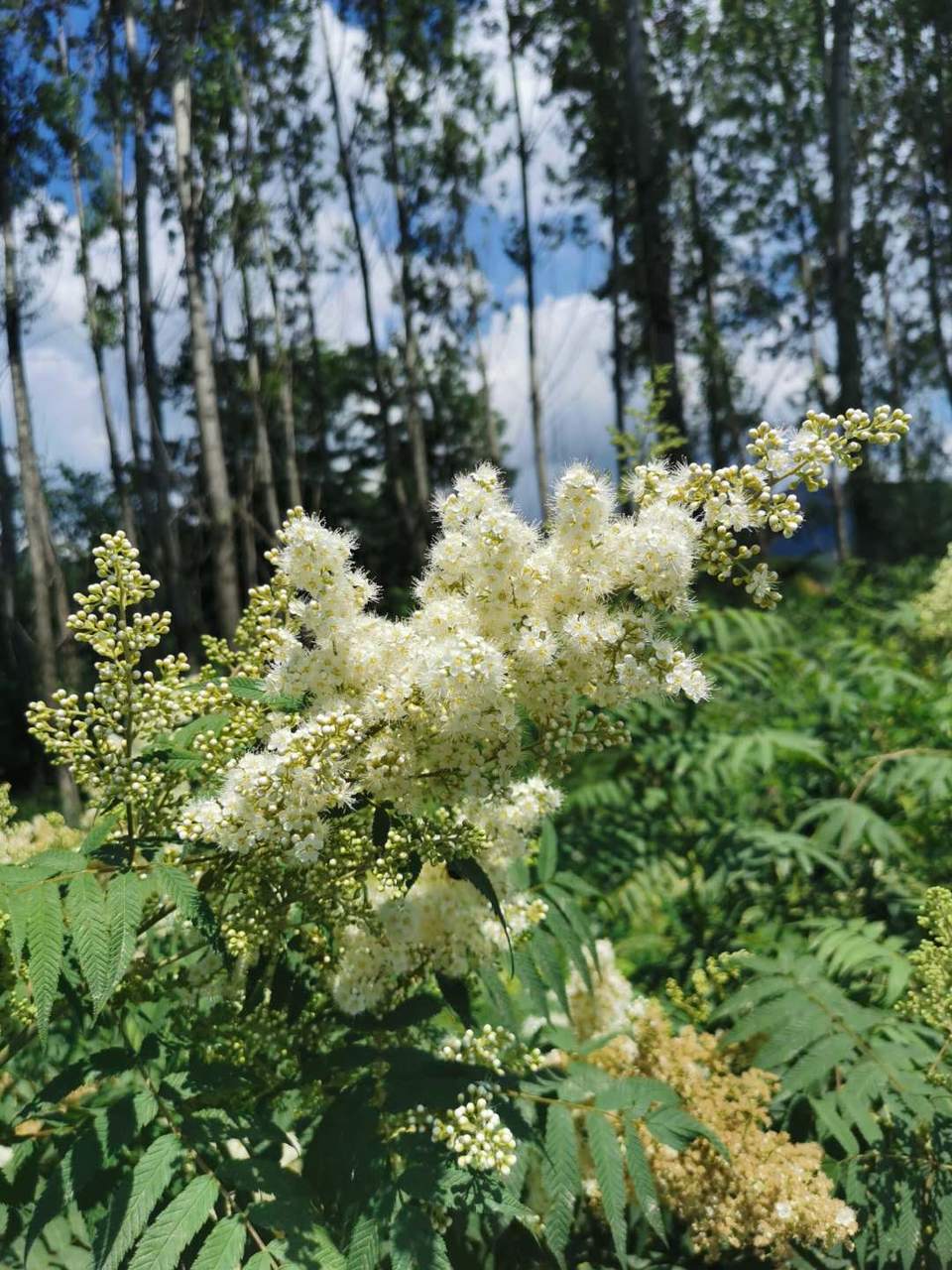 HcyHdIIb2VbyszODtZZFhk8334AsyGAB6Az4NuNDnwWzRqKnedUMFc5c7y5nvZwz