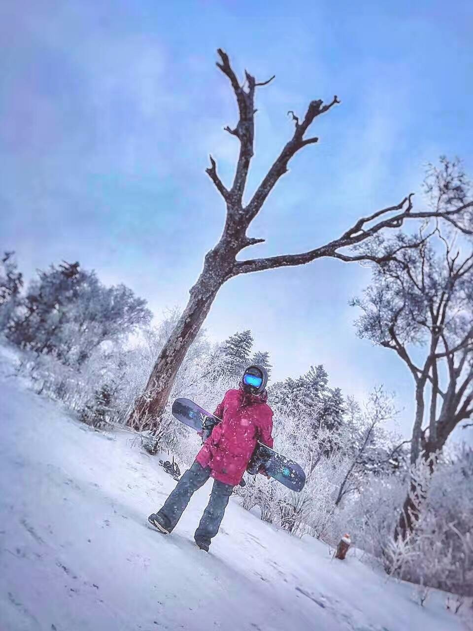 mmexport1483281254485