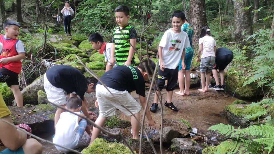 J2oxMUVigHTvSGdF9cX1HNwwt3rfxIjQ6Y7FFO0iJWuVdgM4KGOsOM9rCB0h1NpO