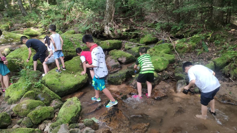 J2oxMUVigHTvSGdF9cX1HIgjusXZZOKtvepass5l5dIqPshdJ_3GPd5GkYpoRdij