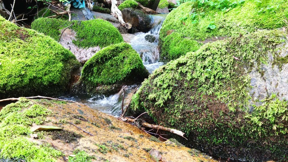 J2oxMUVigHTvSGdF9cX1HI28YGDaKykVmJokH66eAQPnjsNbLP3SH4pxp8aXerBx