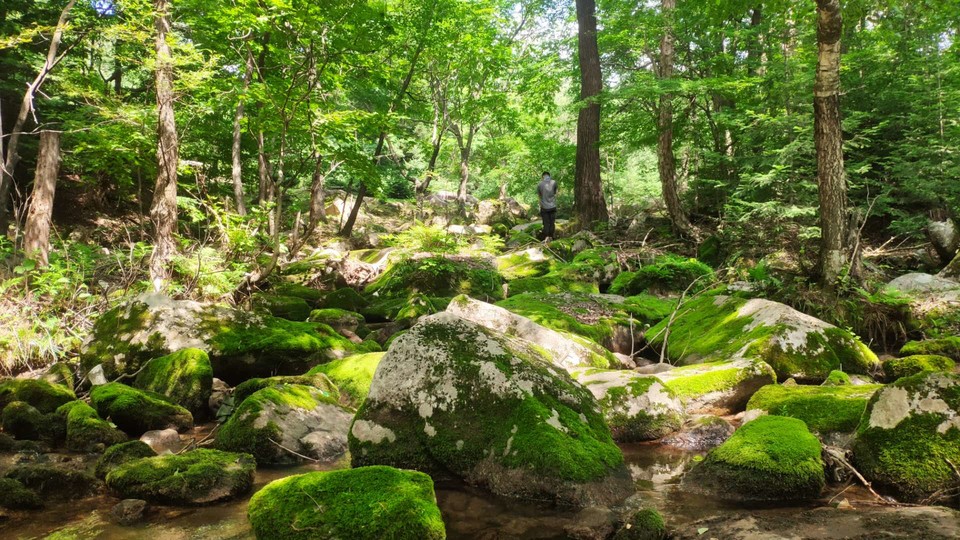 J2oxMUVigHTvSGdF9cX1HJL44bKyNrbz1XLD5ZlpZQIyxGH0OZ3Y3YYwwqNJOyCn