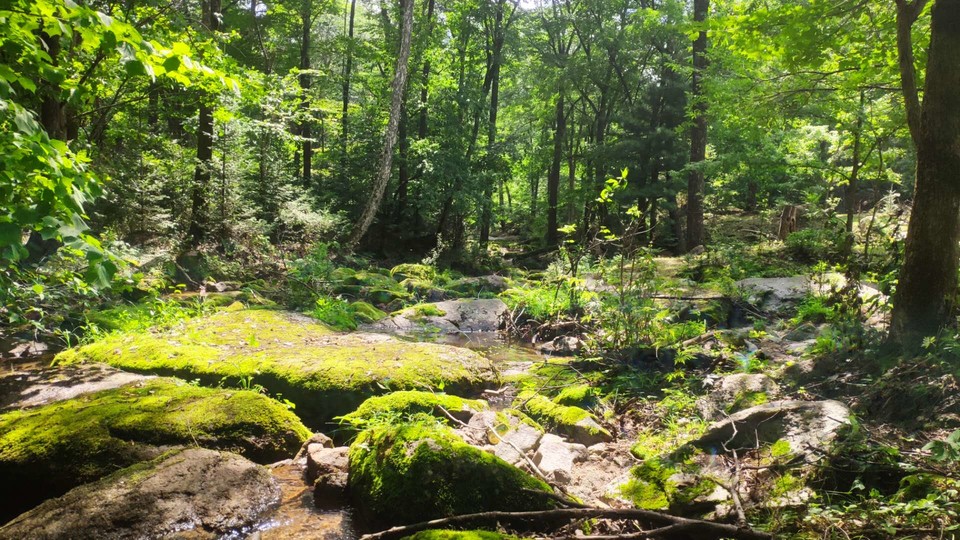 J2oxMUVigHTvSGdF9cX1HMeoW7WBuenMz-kqFt5gwGTOgPe18OR68Bk2YuG7hiLP