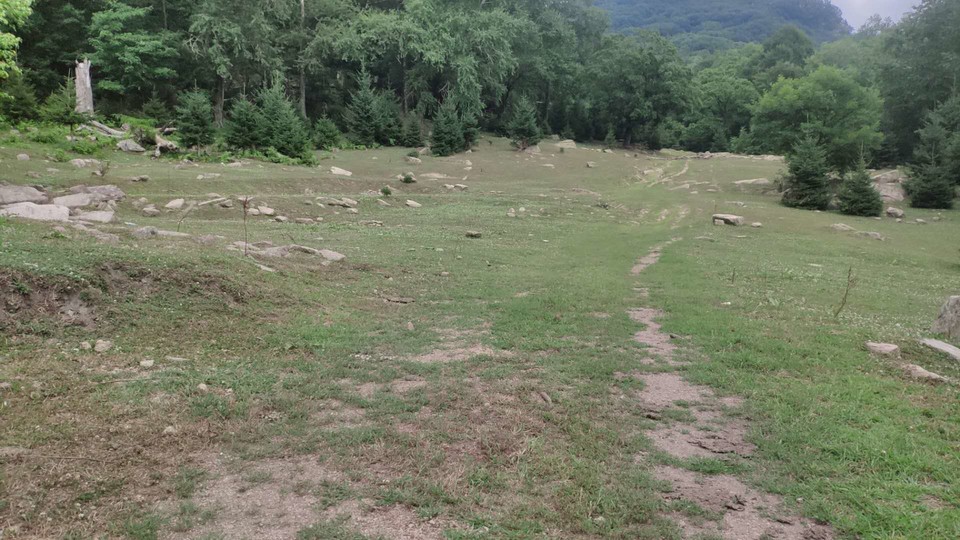 J2oxMUVigHTvSGdF9cX1HPdh-xwNs8QwrirQiCmJSGGGmLc1RvT6GtI04EIbb3FO