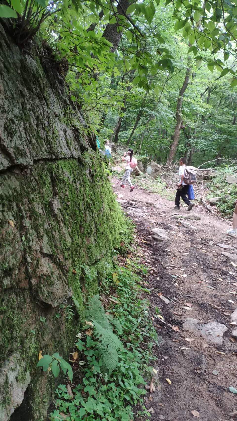 J2oxMUVigHTvSGdF9cX1HKwRMDXDjpd8hW3OoXyC1_i0A4LWJUrahBLYlZfWQFqA