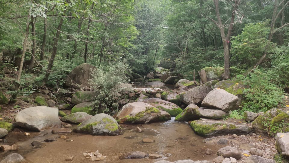 J2oxMUVigHTvSGdF9cX1HGoDTkWqA-O08P6f8URfdlIyTwZVeLKgJnC0A6vZ0C-f