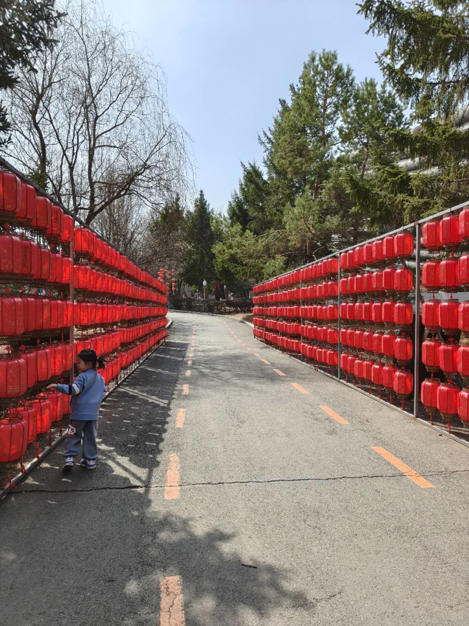 tKhVIeiVSArioXC8TF0gTB6miVhIrZCMaC_8BZfPg7gWem934s_rt5e8aLf9O33G