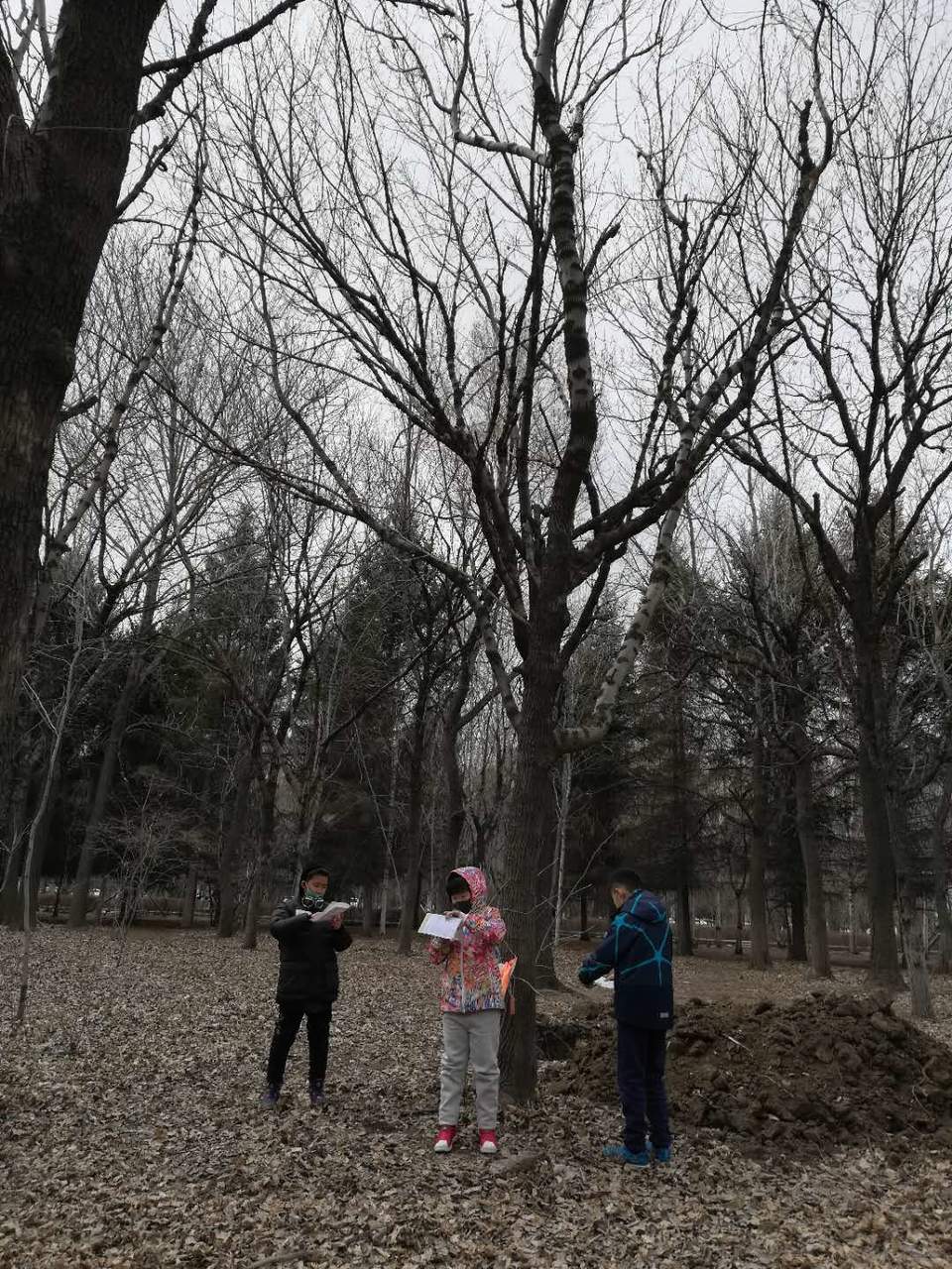 dTwb0u6ex2soQhG2WjcczSNcxbk85nev-Fap6zHsdWmyyTWGgcU6iU6HznU_DTj_