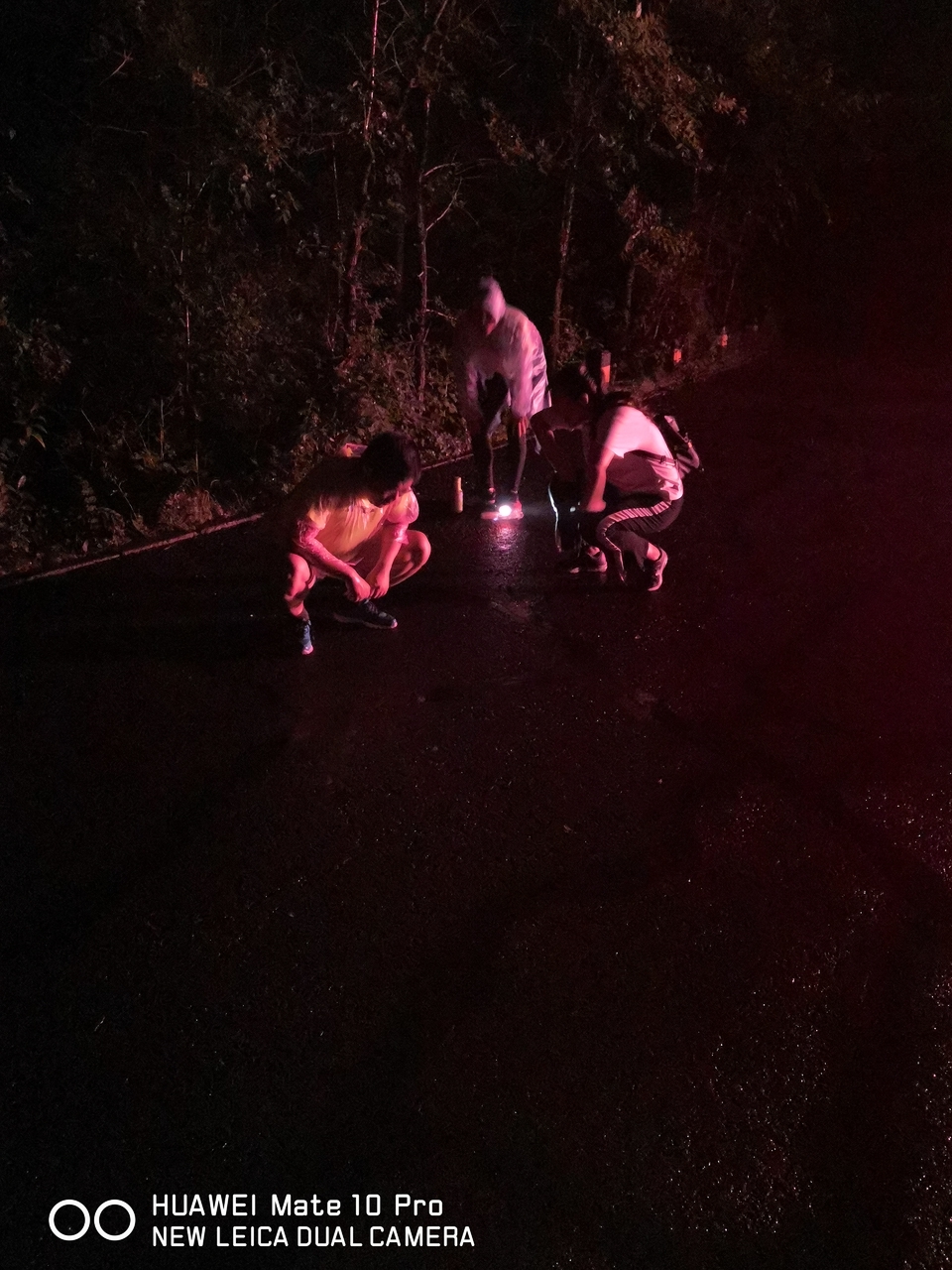 Be8o8D4mH1SJQMT_u6UqUm1NCYzMaKRuPpiFMXHHj0M6HFEguEMEHRPp-rrNYgY3