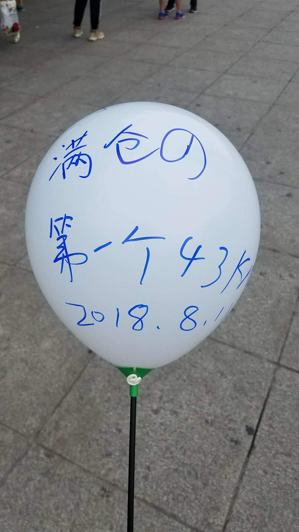 2BOvFNfglmD08ZqRuEHVL0EmUXYaEt7FHdAGMY51nbquYuL6_0ZKO5oYIwIEt-Y0