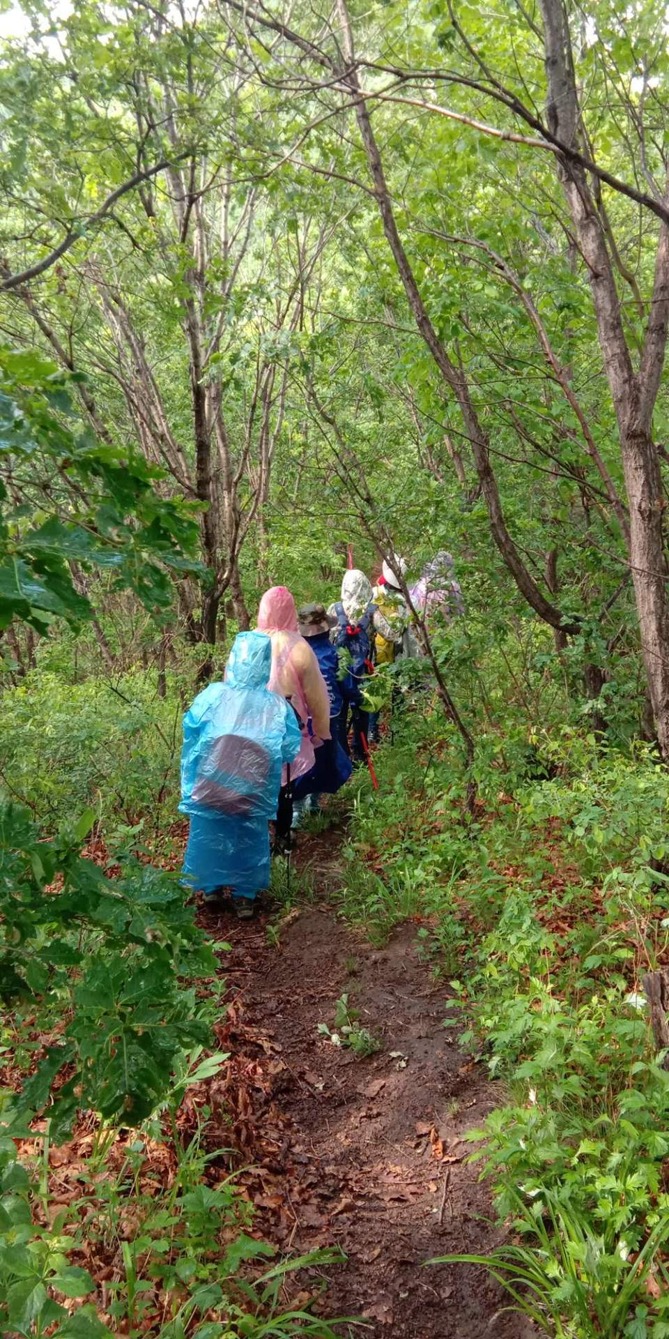 0KApV4dMlVYKhliOu7PfcG1-2Y90byNY22bcgy02c8BfkTwu9JZC9wN8idIhU4HM