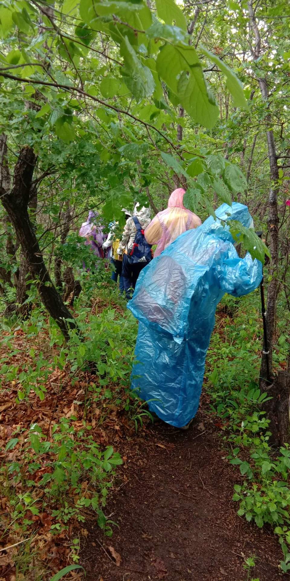 bN4PQ1aosnvi0pA8UTXSxWUWSC6yQIf44R_5vLVX1Gzoany76LTdfahZG5xfLMUr