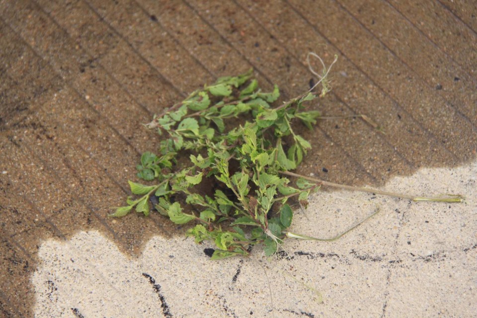 gKKFmwYnGSVAOVoneheC6qNnAJ83xyJ_H4BqlGzjGVgRhWmKe_9NWhoqTGC4rTvk