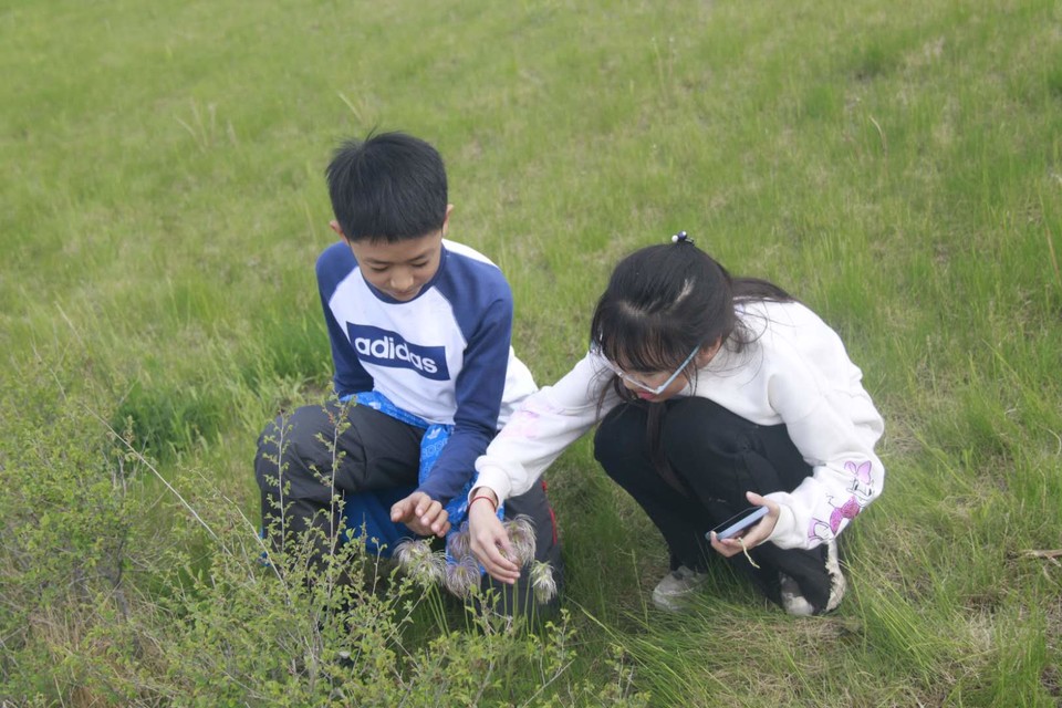 eNj3CxUud9lpTMf2c2EY7rQTx9VmcXtTp_9a4DhSo_LO8eSqzwbJP8OcG6vq8xJa