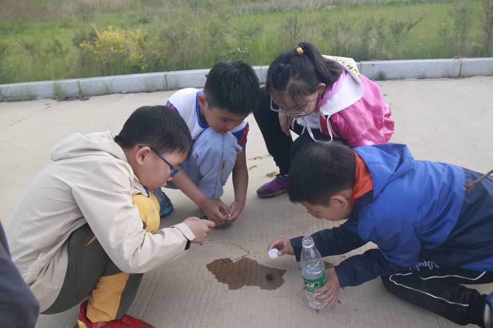 1XevGGtkEJ8P8W8U0pQsLp_6tomOa6C8hOOX415TAM_JQOz3hG7nLDRg4bKQ-hjY