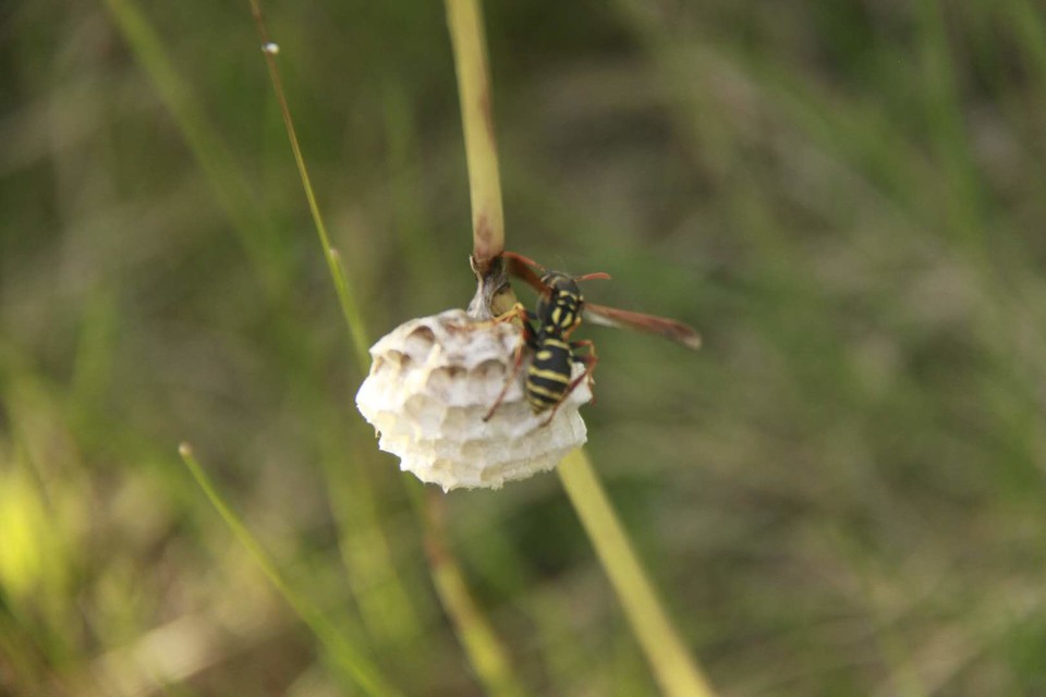 GS9lfmsPJYaaFV_zcThdvIt95JKFuT_VJxy3zg3bITEn176GJlPNjydz5HV4OnHR