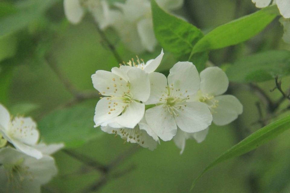 f-9f5wDrZbfshAORNkJ8zhoRkr05c1-_FnwEjmQRizknTzsJyCZ4DiIlSO7fzroQ