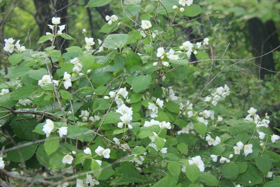 FJ9ZCMQpQwC8BgiAawzYphWCnL3wL01HyqGeq4SjhNlfy7vo8QDQyt3c7kG2R2Va