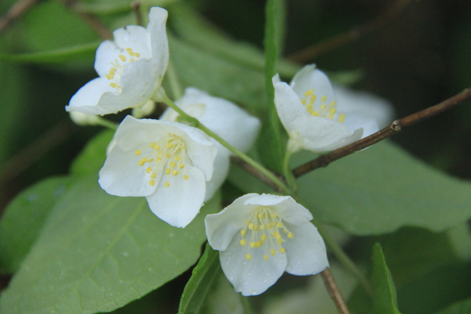 1uGRkcsw4Tes0KdTlXrz3yUWZ_wCz8BC1MdWruQAIILXXn5C08U-UYX76Rz1u4Bh