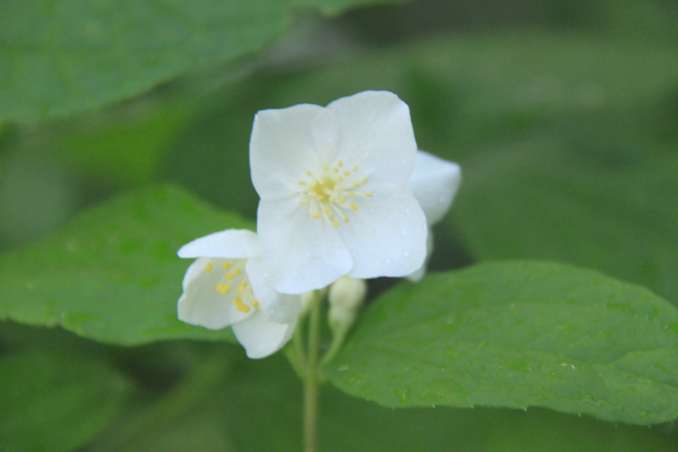 nQ-6Yj5BxRdsx9N24ehj_Duks-T0I98MzXItk5N-XKeW0PRuitgHzPiUdy71DWMq