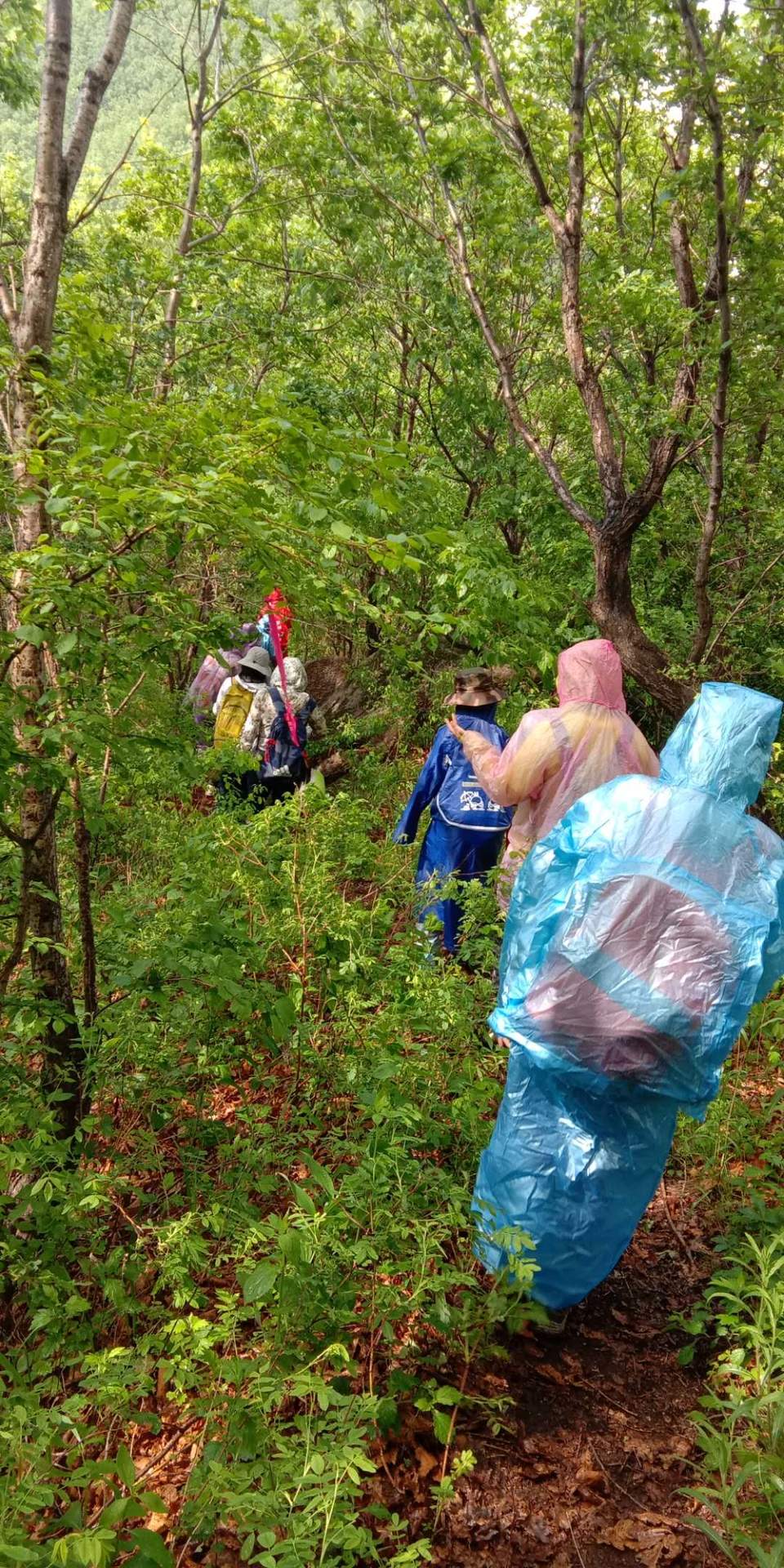 WavnkrKcowic611RqxkPdGMpJXLEpzm75AeedIWsWwTtoP6hbvvXfawQ_h3YFu8I