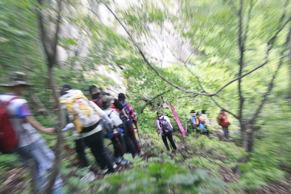 RIYhgENGtU9GNAo8xWQeyfvXFHvz3Ym5CK3UiULdd5Zulw4VKPNf_qV8EMSXiDsw