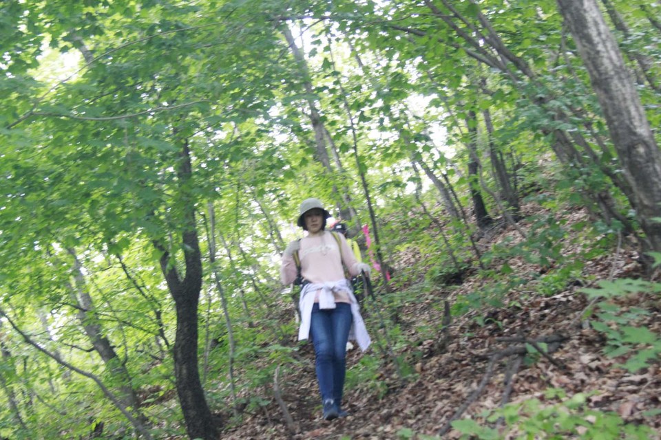 fcizKWfbbd4jA_fOC8CiZ5bdFFo_xXK-YskPUFCYHF3eFaeNSJ7BMeXlUuJscVr1