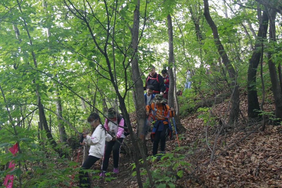 HI7TLvNgElIDvAELIIagq9NLl4bWOfaCpZQHjiDinXH8Ob34YVC5jopEuBPL9SFk