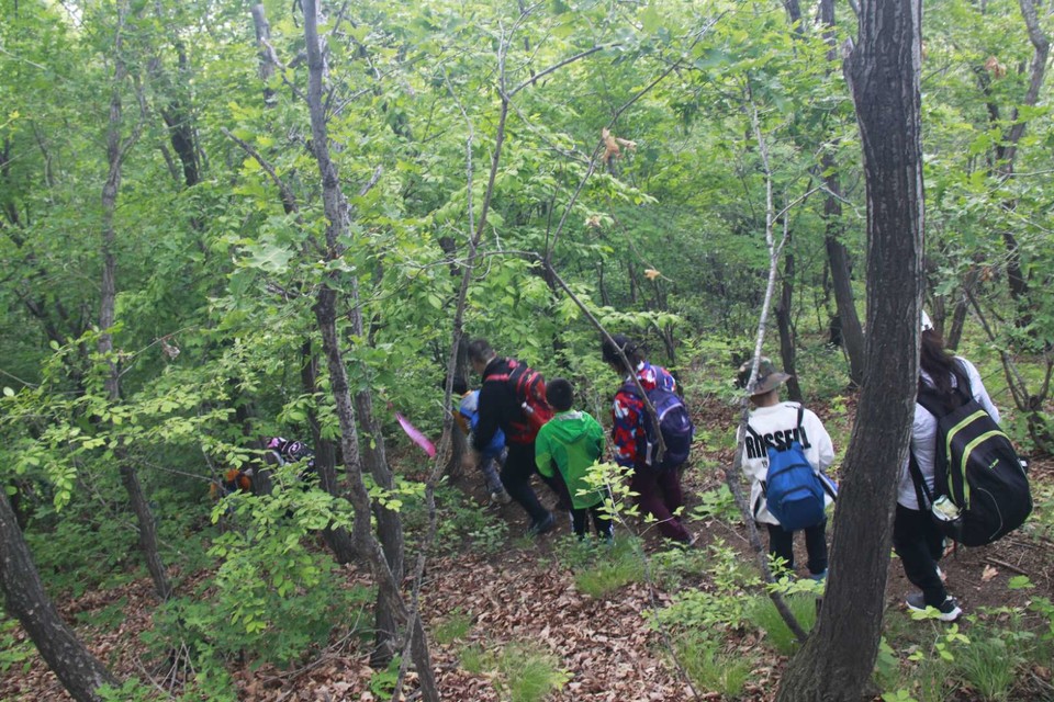 vz59Uhz7cim7v-t42q20qUUbuBcrI41m2usfRUyY2IyE6nkvouef2hUfoS1SurtS