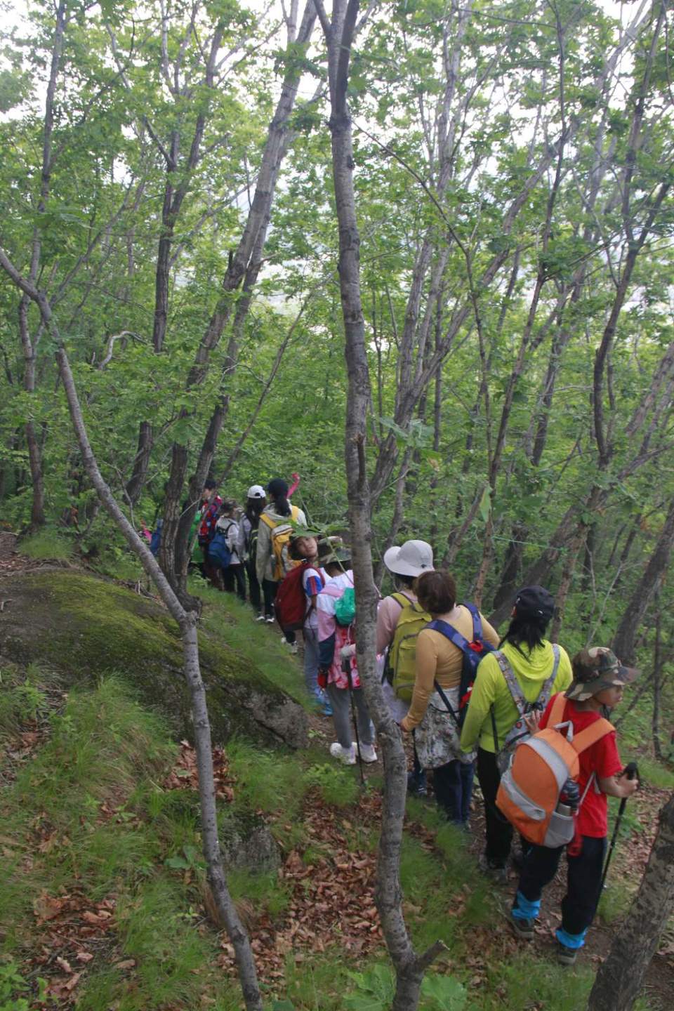 nmT-ebI7_T7_ljBz4-Rum2-DH9pJMX5SPkxFM2hyLCSs7WhTA_XQhsCealEa96PC