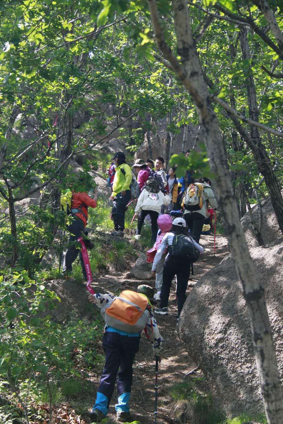 nx2ed1NxkCwSp8X5H__G5vh2jMvcDZaax3xiU4AYH_tOjnUmeqKdAYxoVNVBHe3n