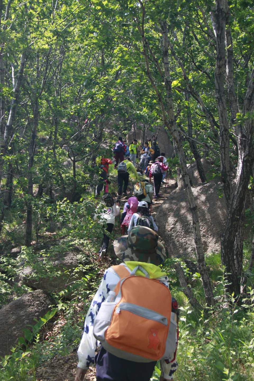 4C3tGII9dJtLChKCC70VHGqHAxXaRenSFpOEojaBMDZOI03uaqnkib96eJ4JeKI4